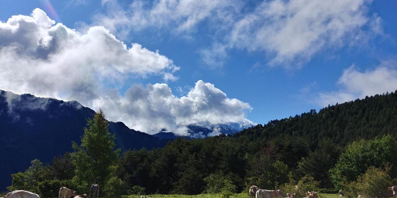 Bordes Pirineu, Costuix Hotell Areu Exteriör bild